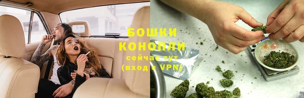 шишки Ростов