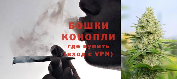 шишки Ростов