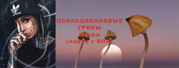 шишки Ростов