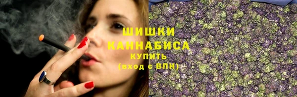 тгк Дегтярск