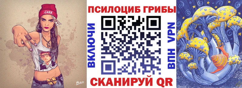даркнет состав  Сим  Галлюциногенные грибы GOLDEN TEACHER 